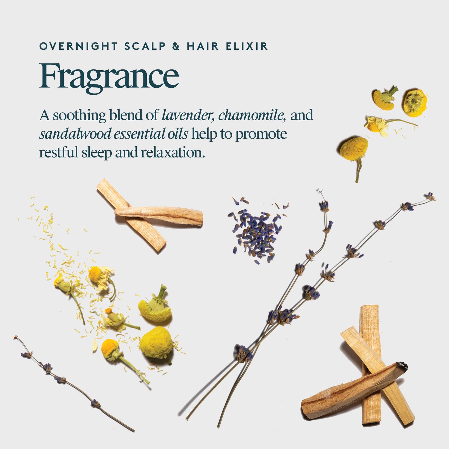 Information related to Virtue Overnight Scalp & Hair Elixir
