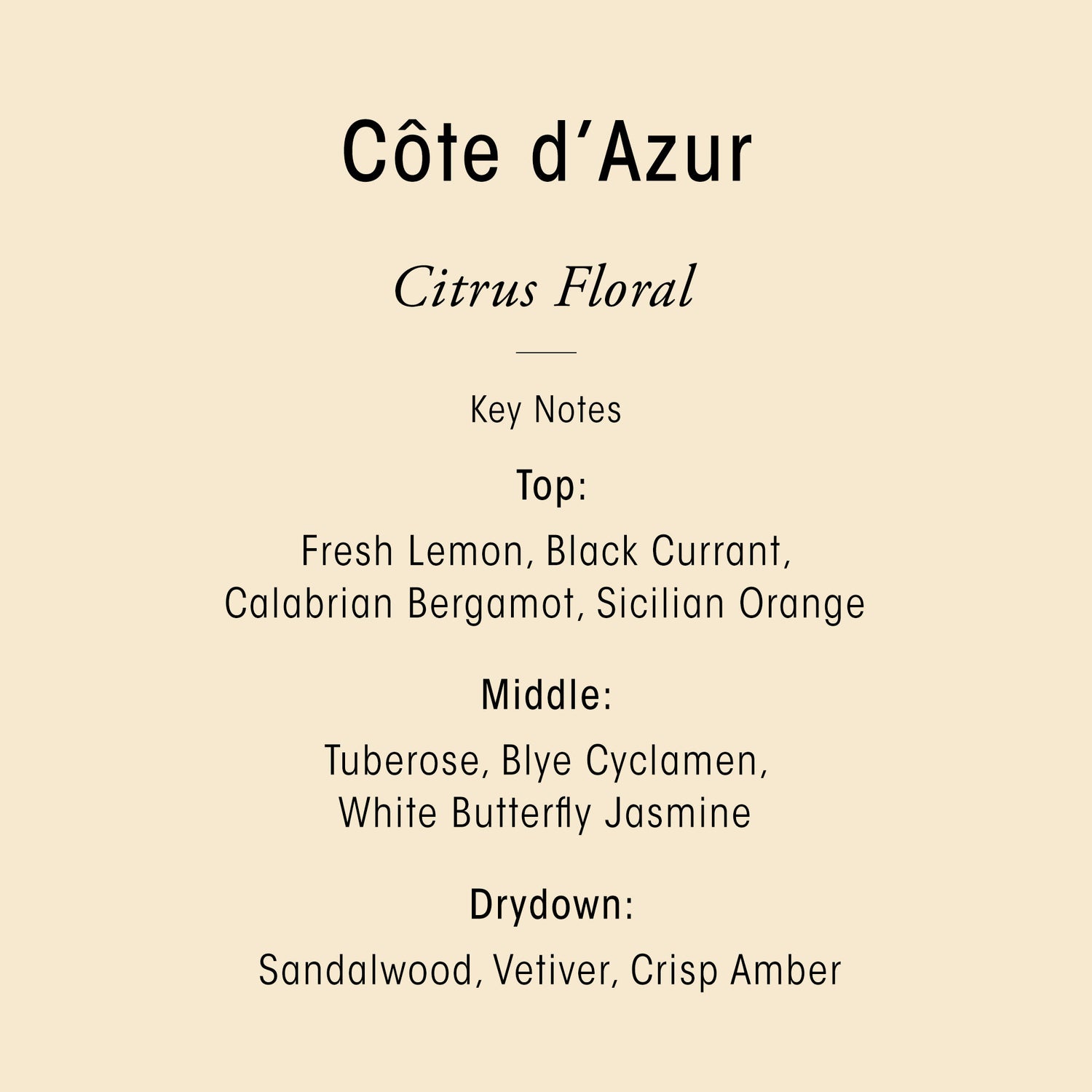Information related to Oribe Cote d'Azur Bar Soap