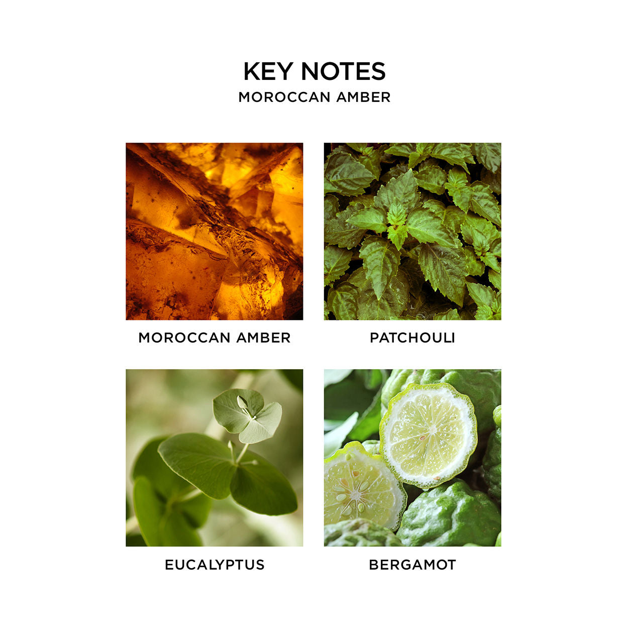 Information related to Nest Moroccan Amber Reed Diffuser