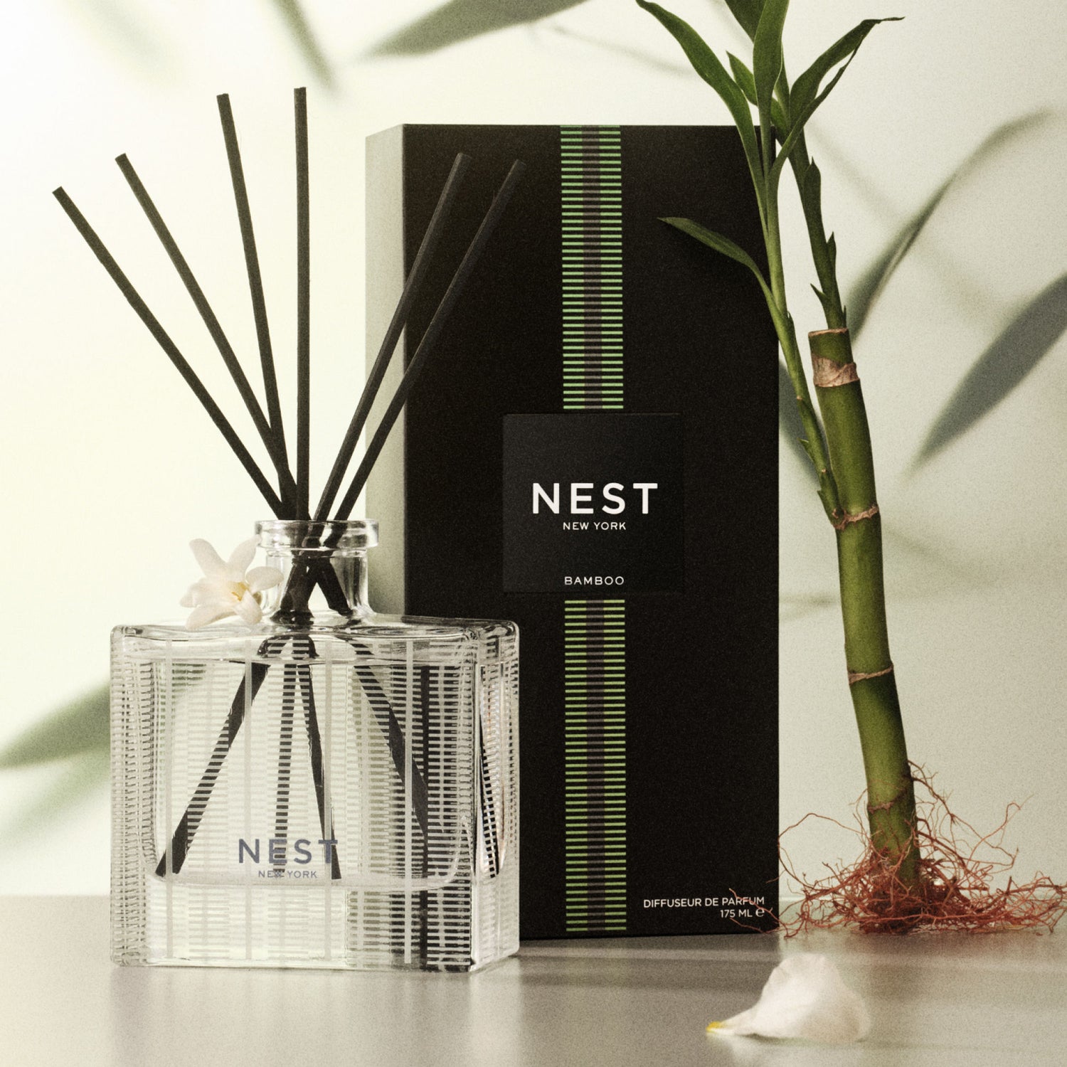 Lifestyle image of Nest Bamboo Reed Diffuser