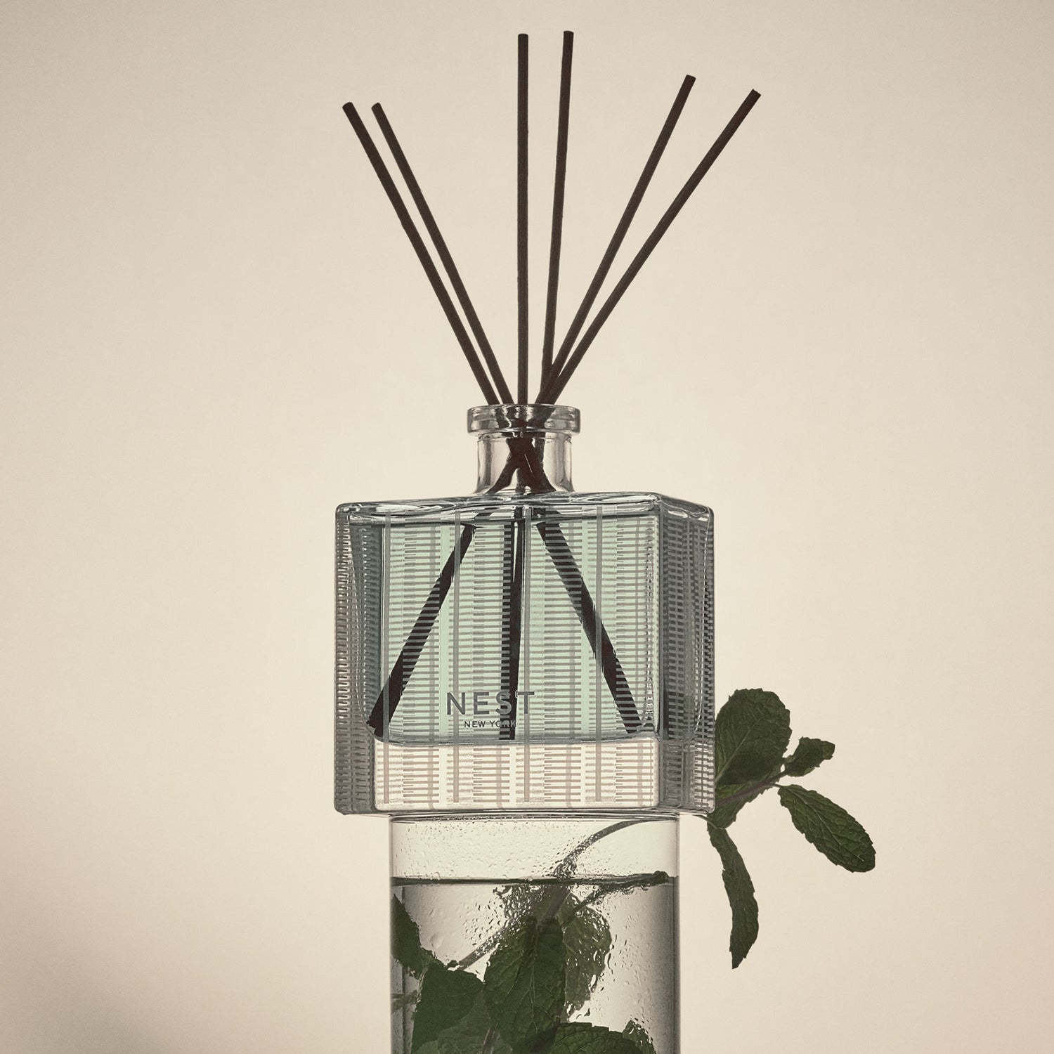 Lifestyle image of Nest Wild Mint & Eucalyptus Reed Diffuser