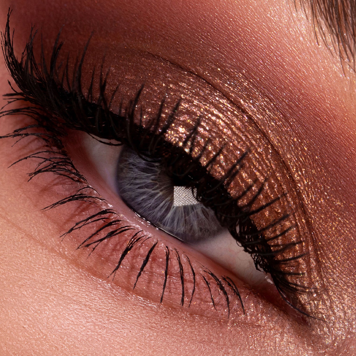 Model image of Pat McGrath Labs Venus In Fleurs Luxe Quad: Voyeuristic Vixen