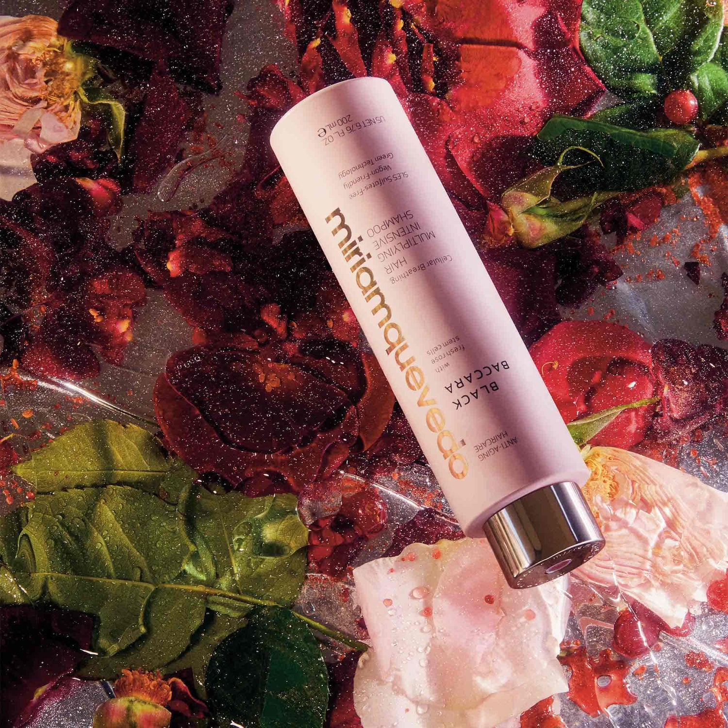 Lifestyle image of Miriam Quevedo Black Baccara Cellular Breathing Hair Multiplying Intensive Shampoo