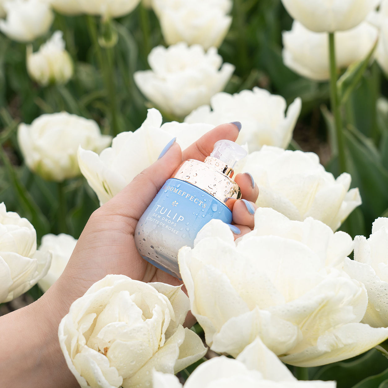 Model image of Bloomeffects Tulip Dew Drops