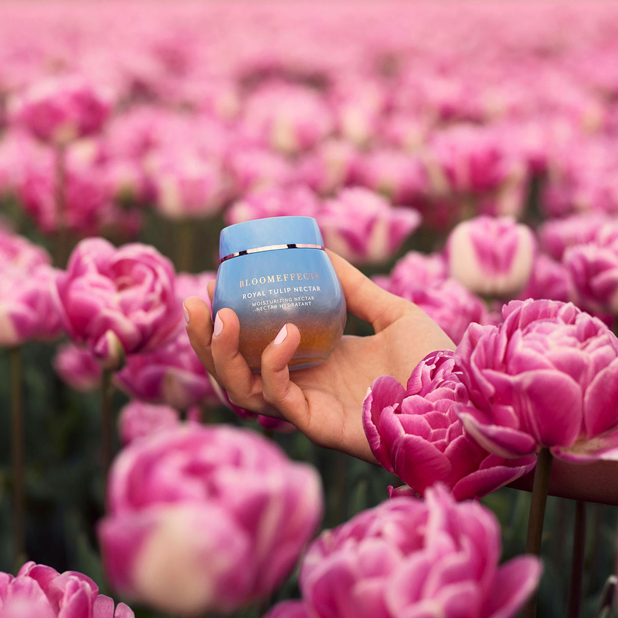 Model image of Bloomeffects Royal Tulip Nectar