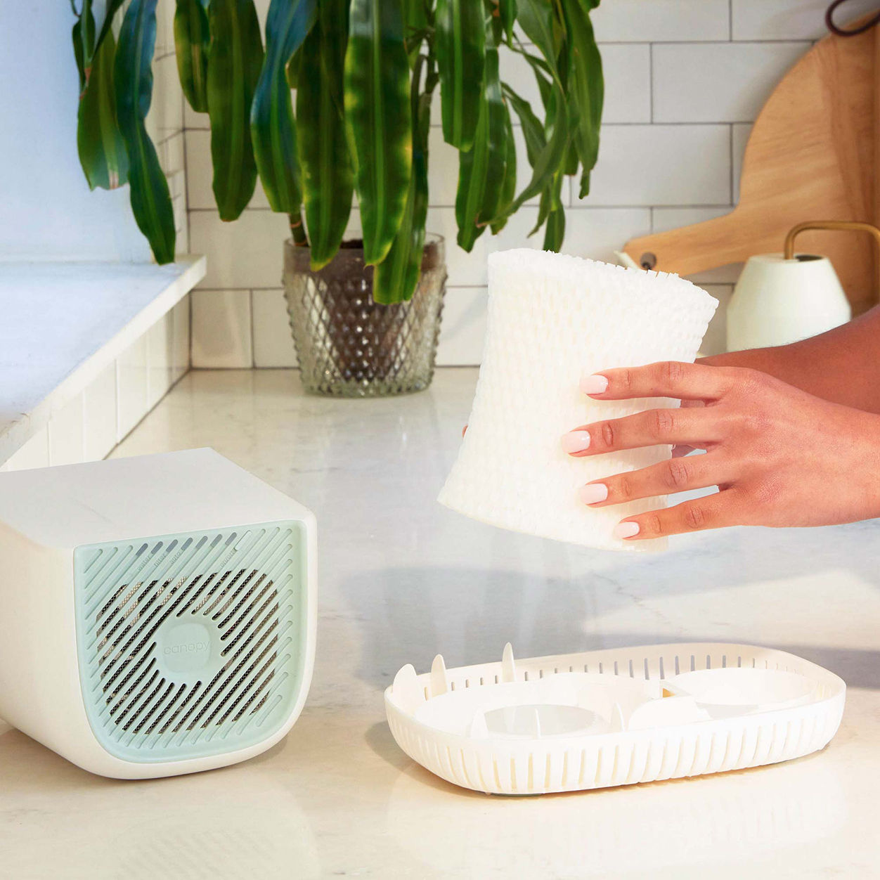 Lifestyle image of Canopy Humidifier Filter