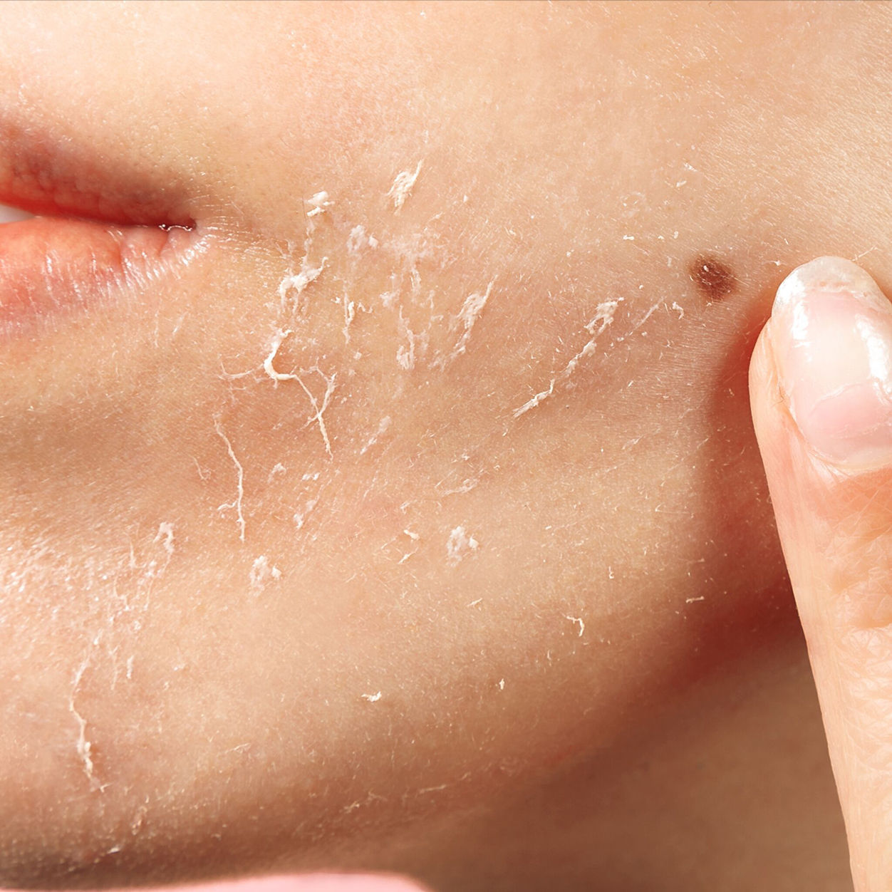 Model image of Odacité Bioactive Rose Gommage