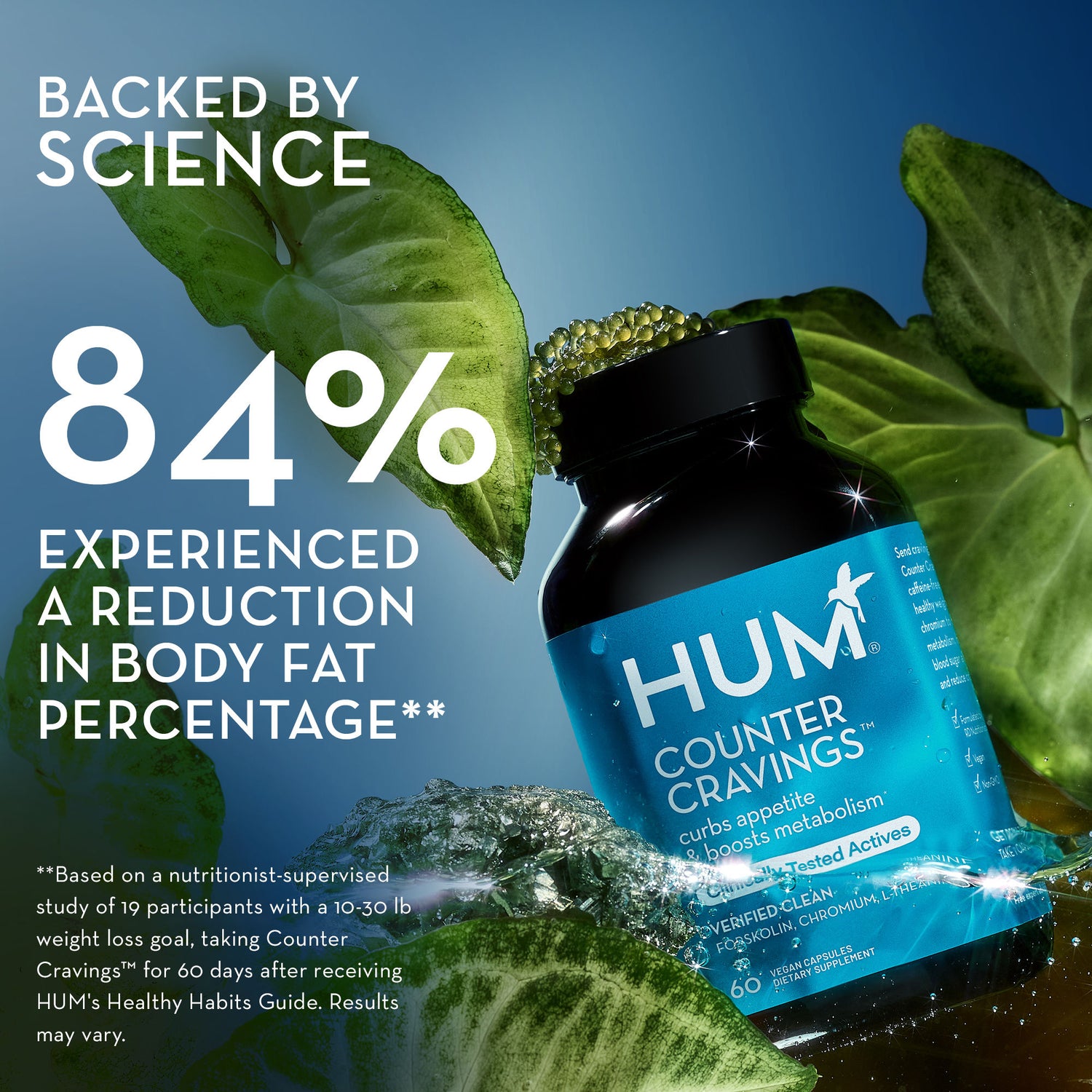 Information related to Hum Counter Cravings