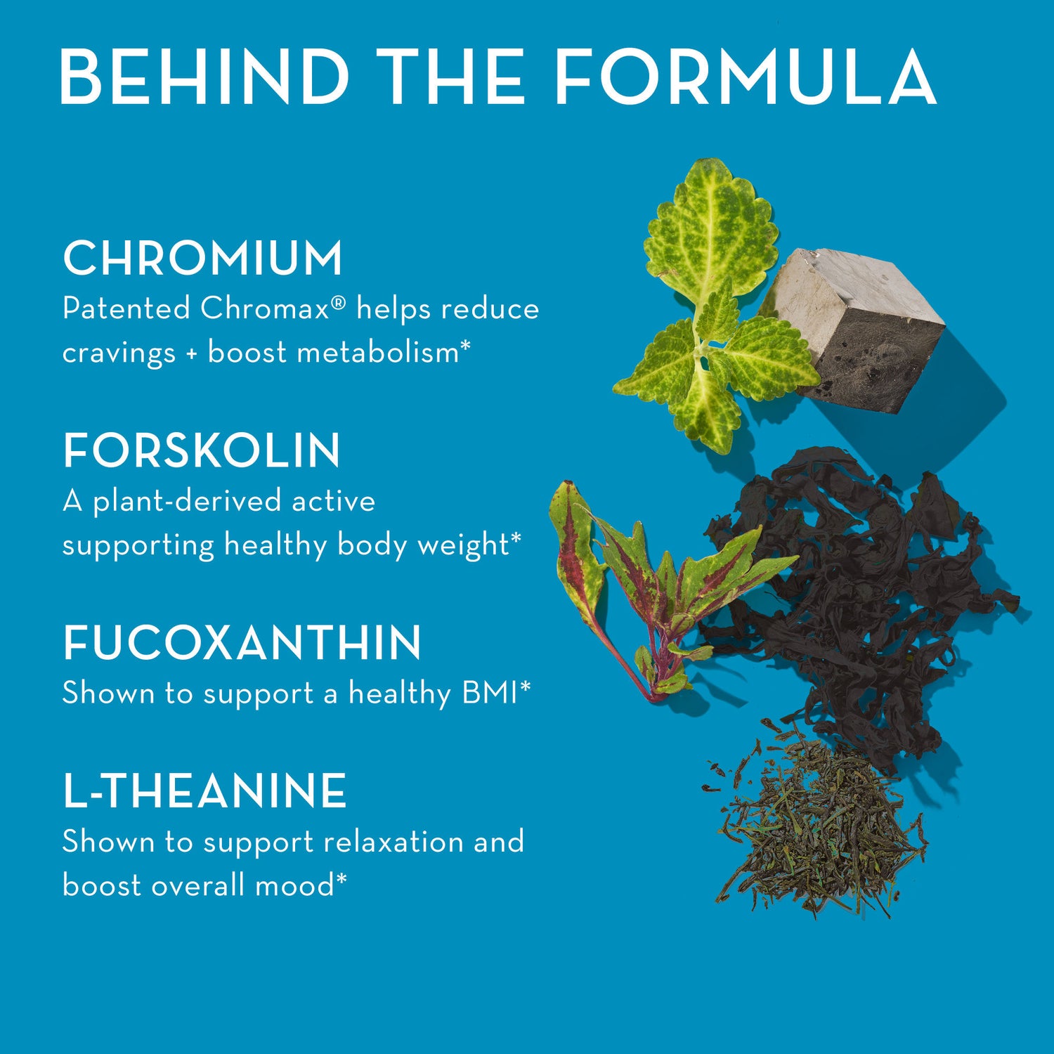 Information related to Hum Counter Cravings