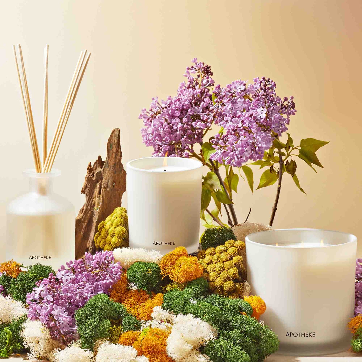 Image of product in the same collection as Apotheke White Vetiver Classic Scented Candle