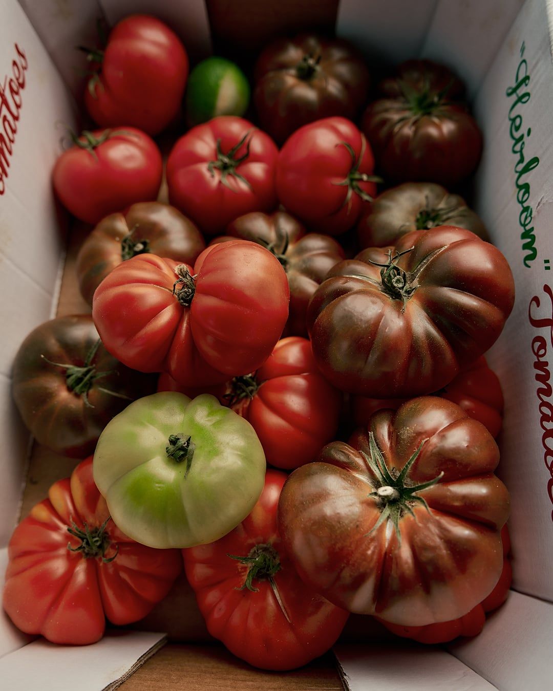 Lifestyle image of Flamingo Estate Roma Heirloom Tomato Candle