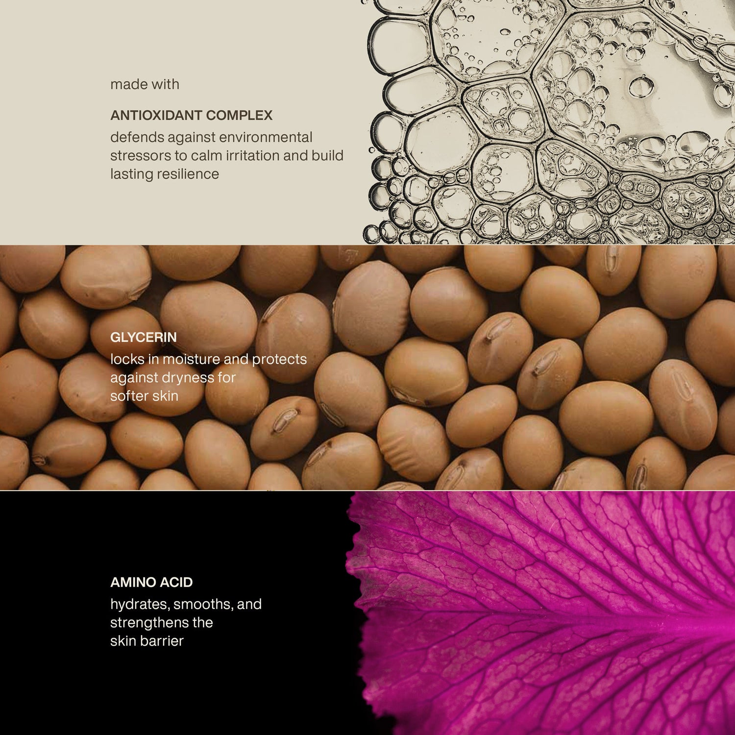 Image of product in the same collection as Evolvetogether Restorative Hand Wash Havana