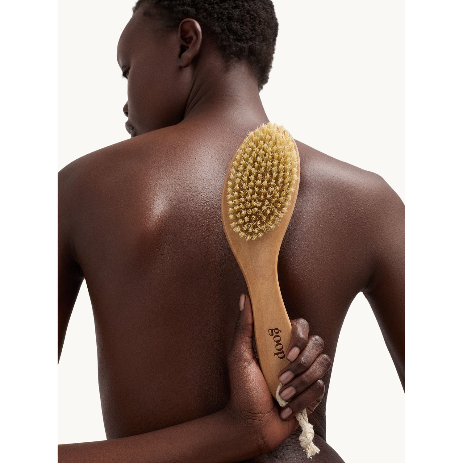 Model image of Goop Ultimate Dry Brush