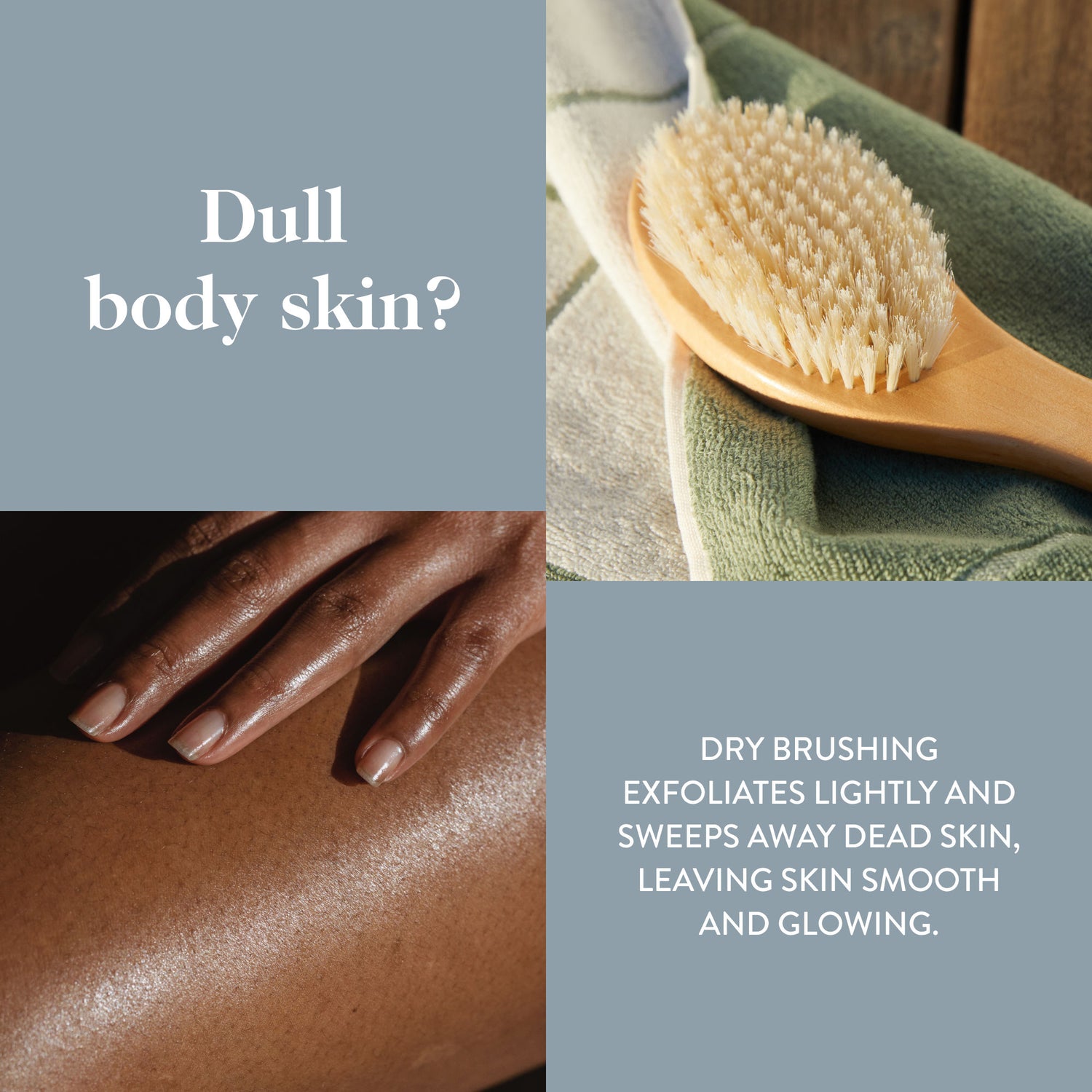 Information related to Goop Ultimate Dry Brush