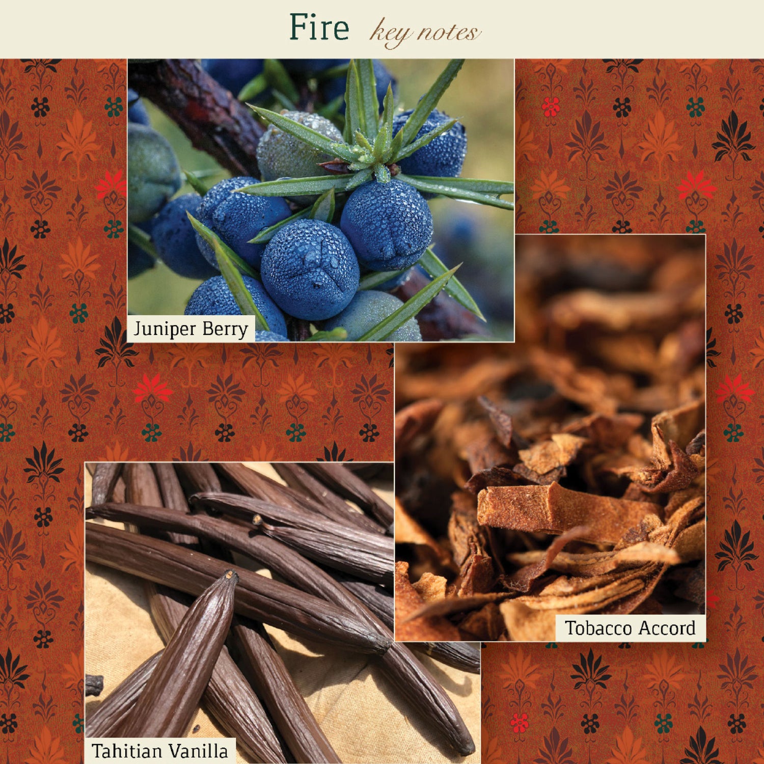 Information related to The Maker Fire Eau de Parfum