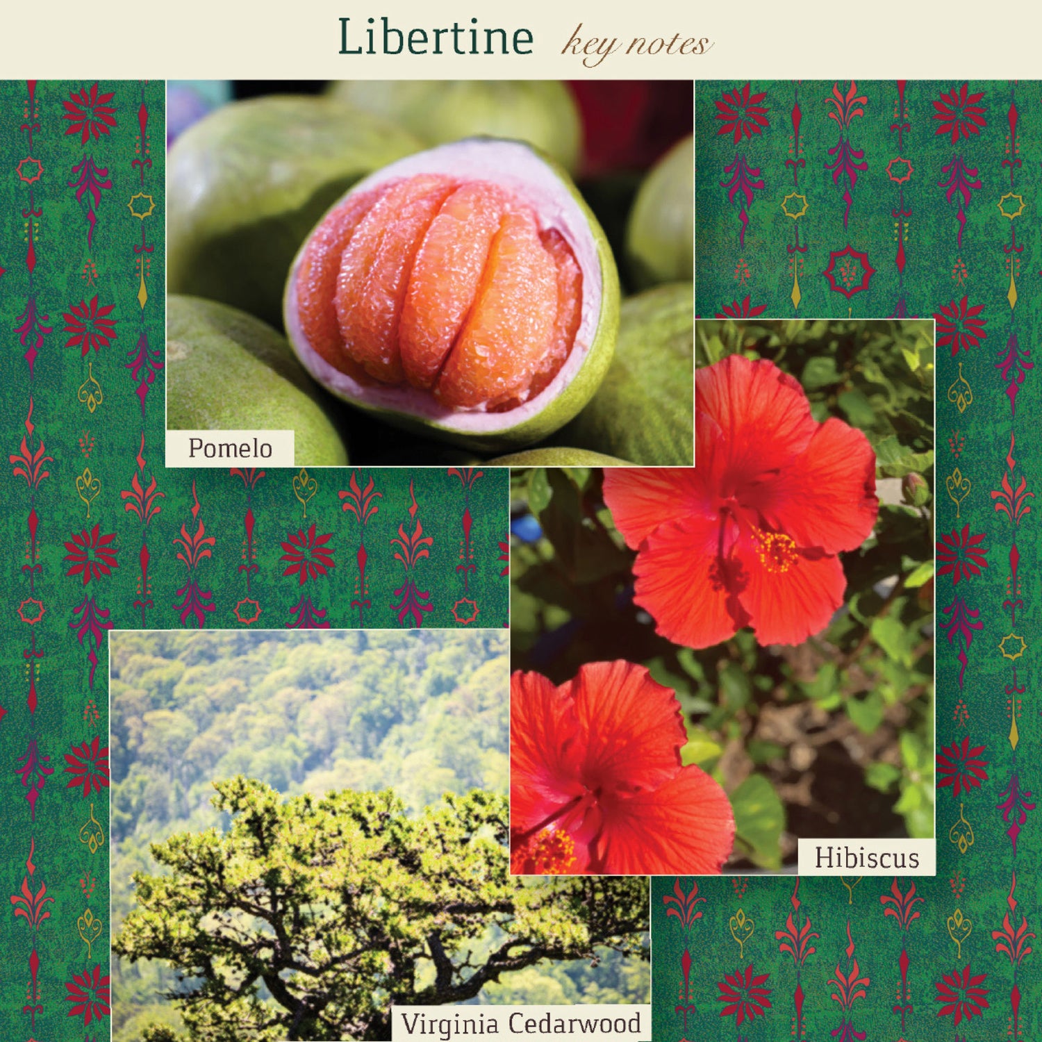 Information related to The Maker Libertine Eau de Parfum