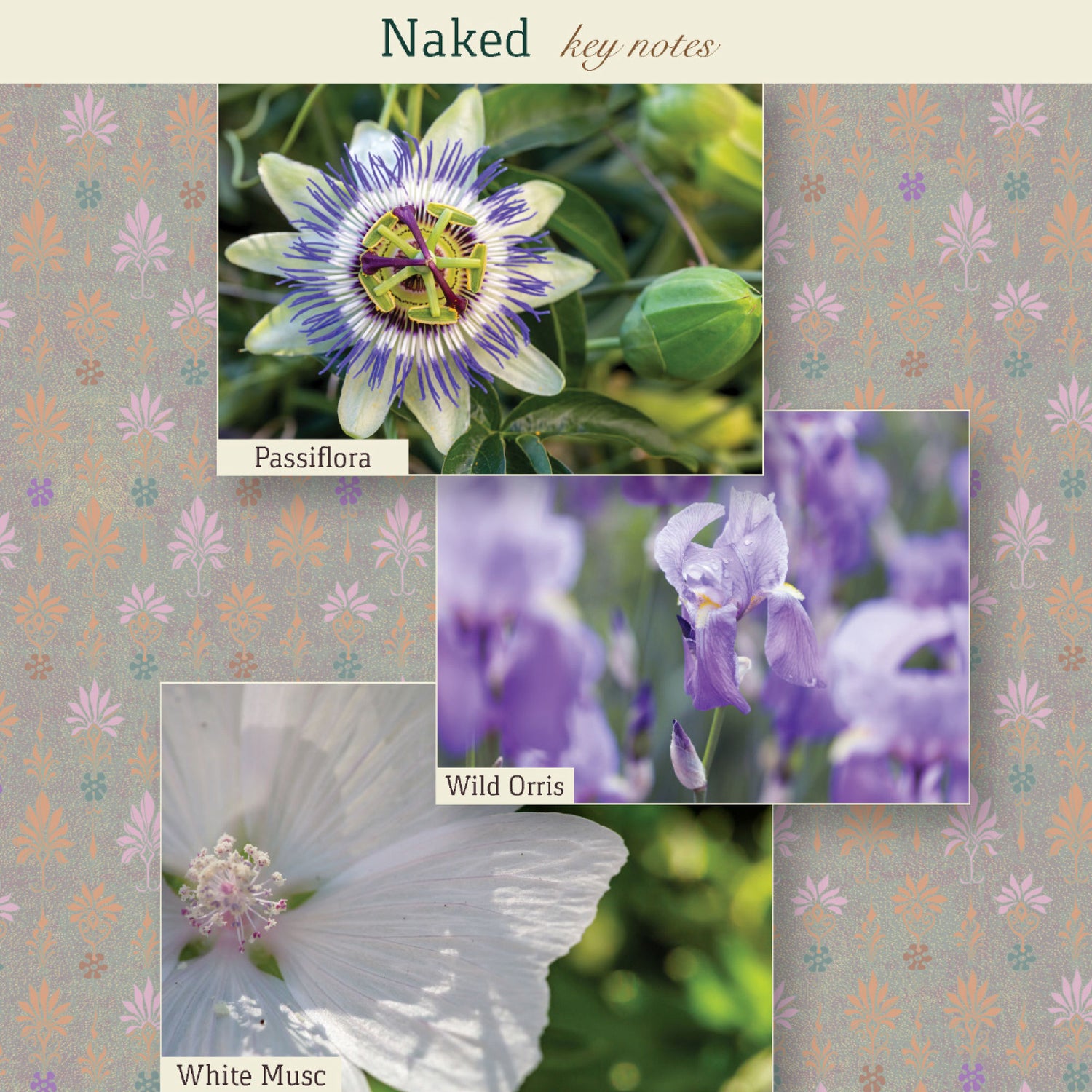 Information related to The Maker Naked Eau de Parfum