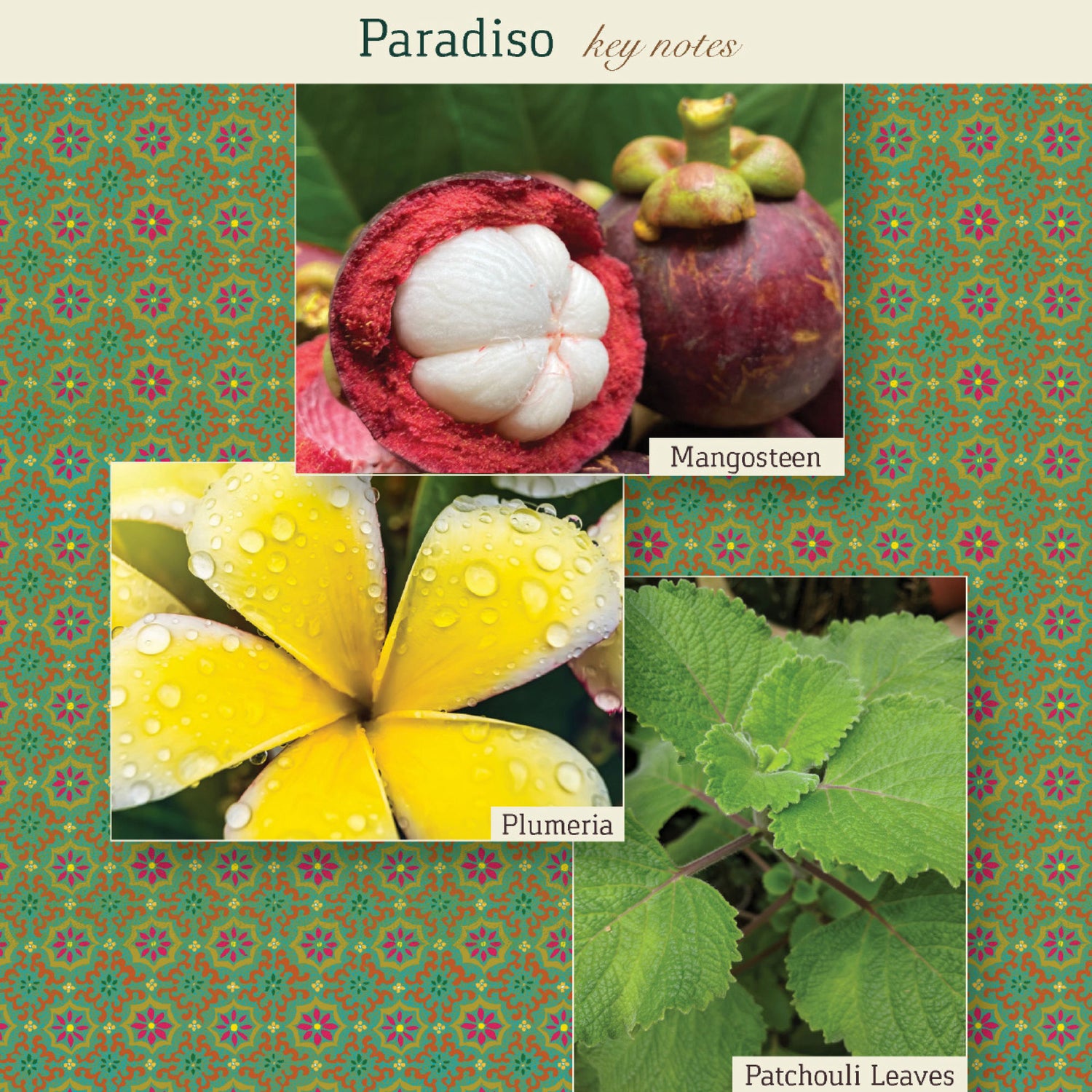 Information related to The Maker Paradiso Eau de Parfum