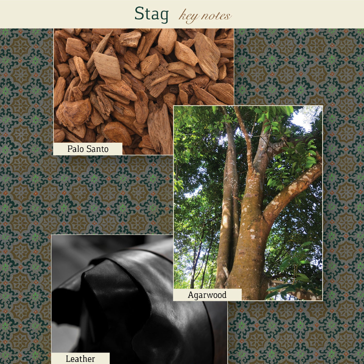 Information related to The Maker Stag Eau de Parfum
