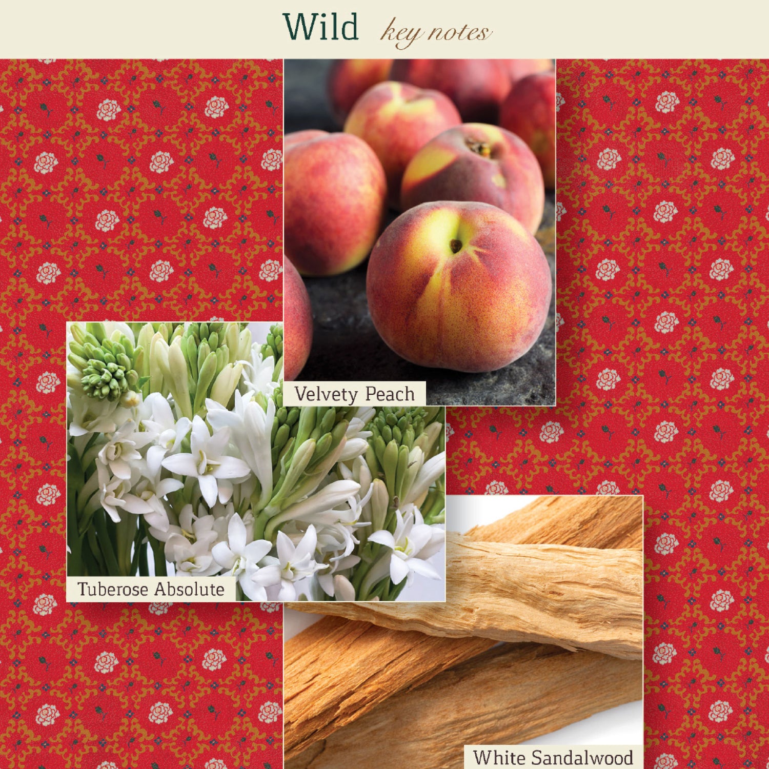 Information related to The Maker Wild Eau de Parfum