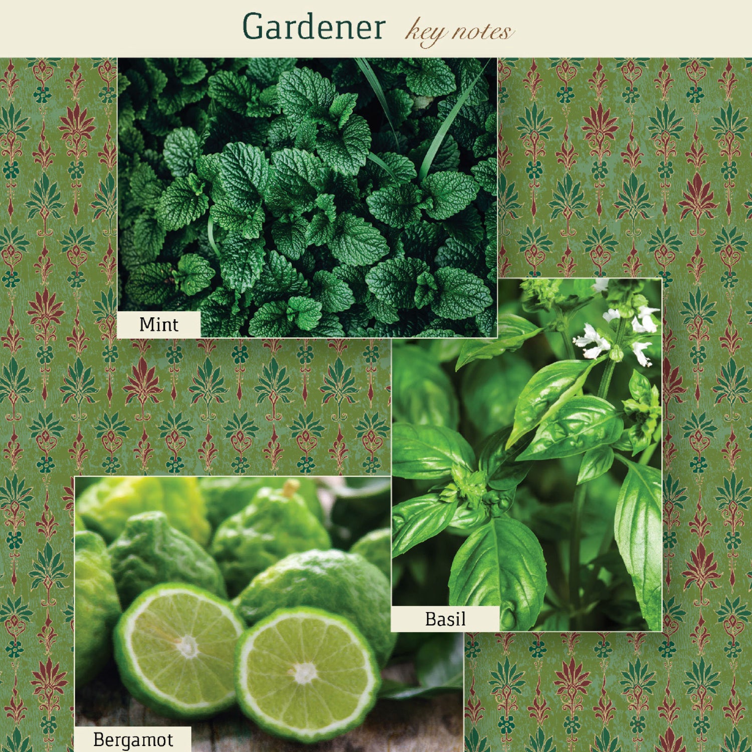 Information related to The Maker Gardener Candle