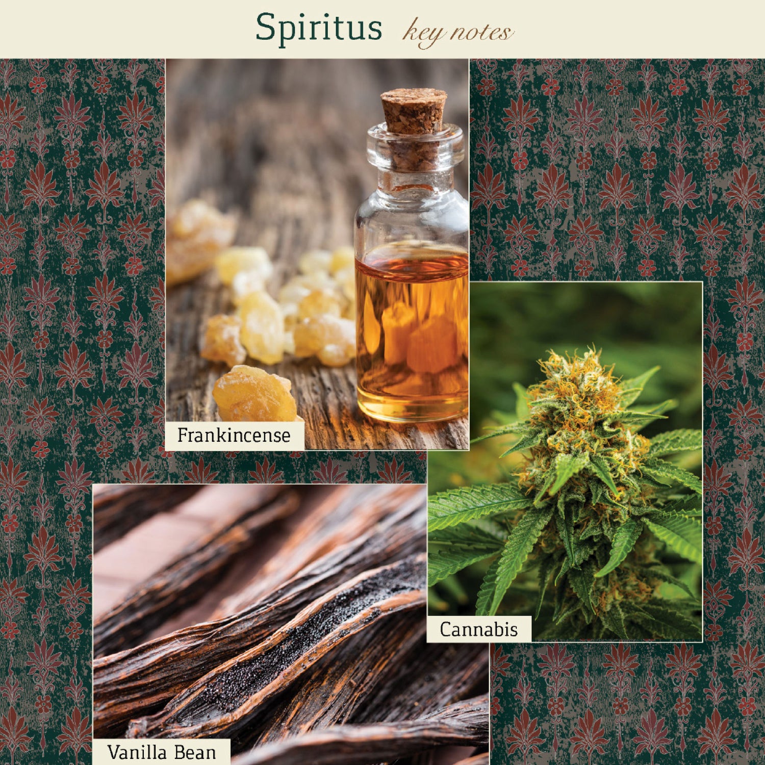 Information related to The Maker Spiritus Candle