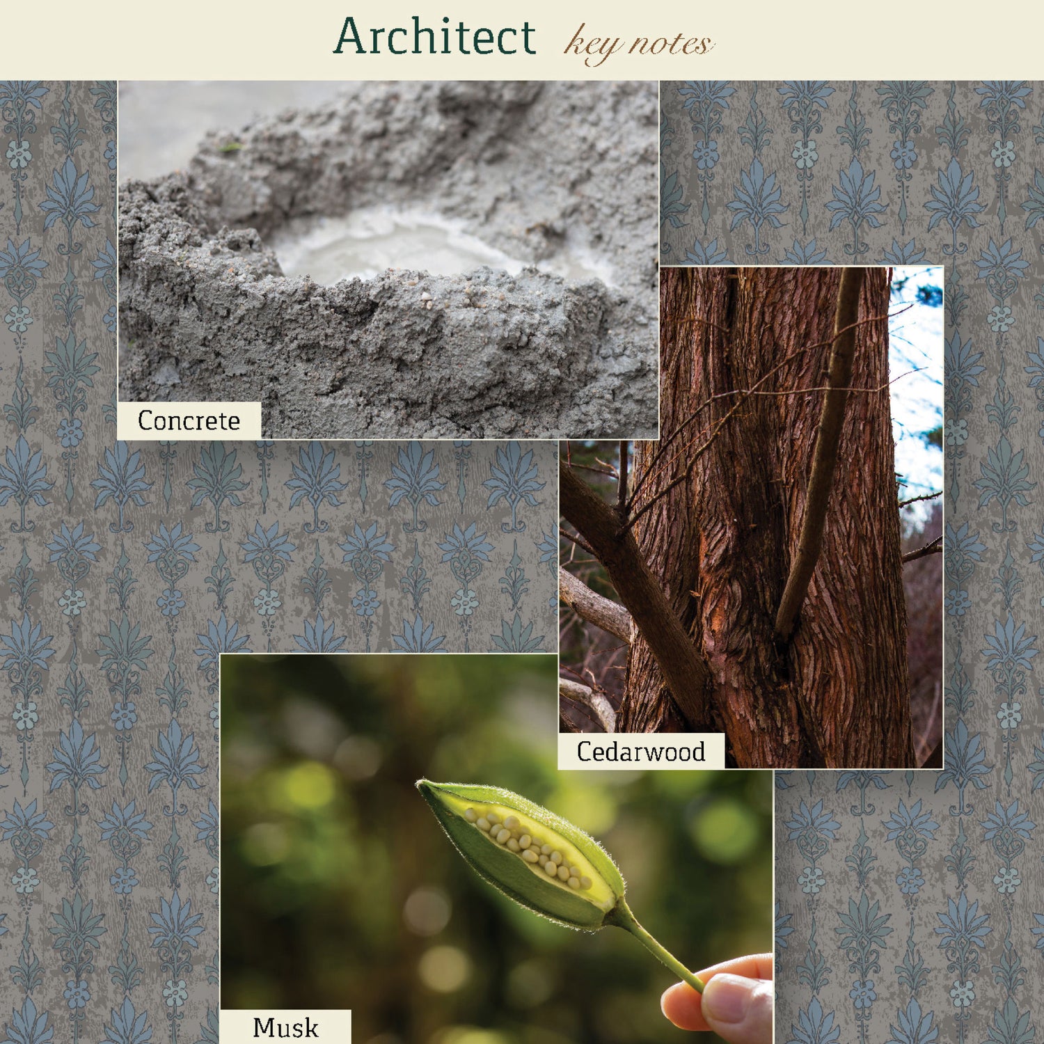 Information related to The Maker Architect Candle