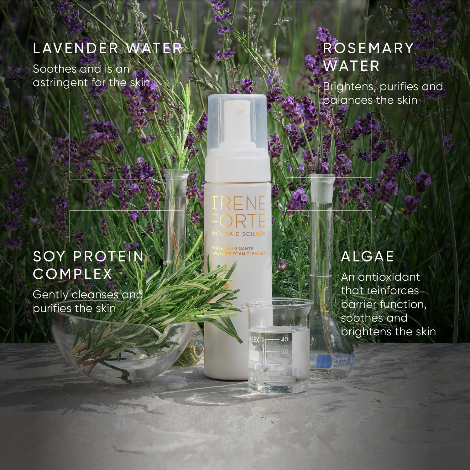 Information related to Irene Forte Lavender Foam Cleanser