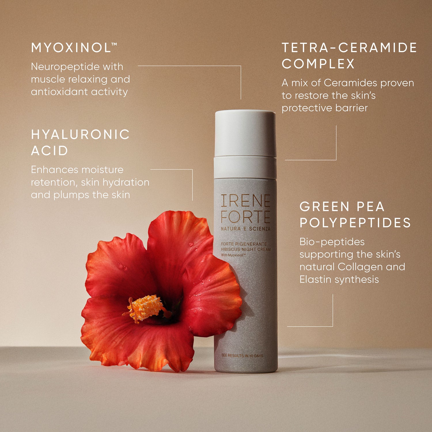 Information related to Irene Forte Hibiscus Night Cream With Myoxinol