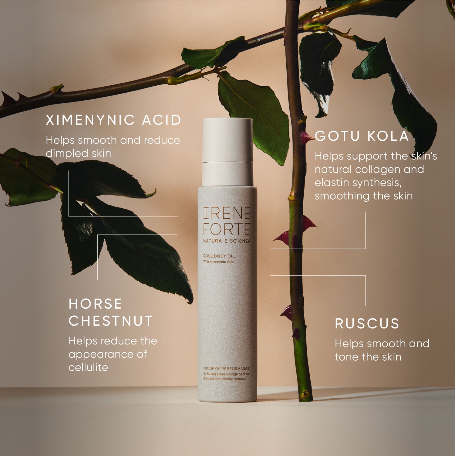 Information related to Irene Forte Rose Body Oil