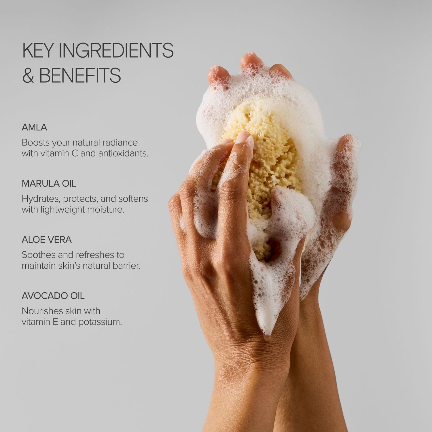Information related to Alo Mega-C Body Wash
