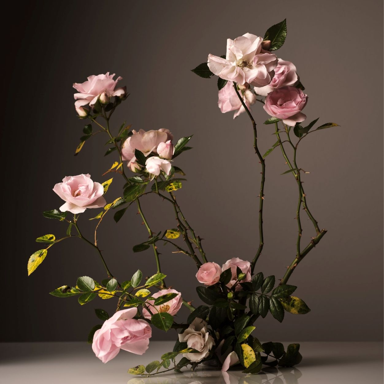 Lifestyle image of Homecourt Steeped Rose Hand Wash