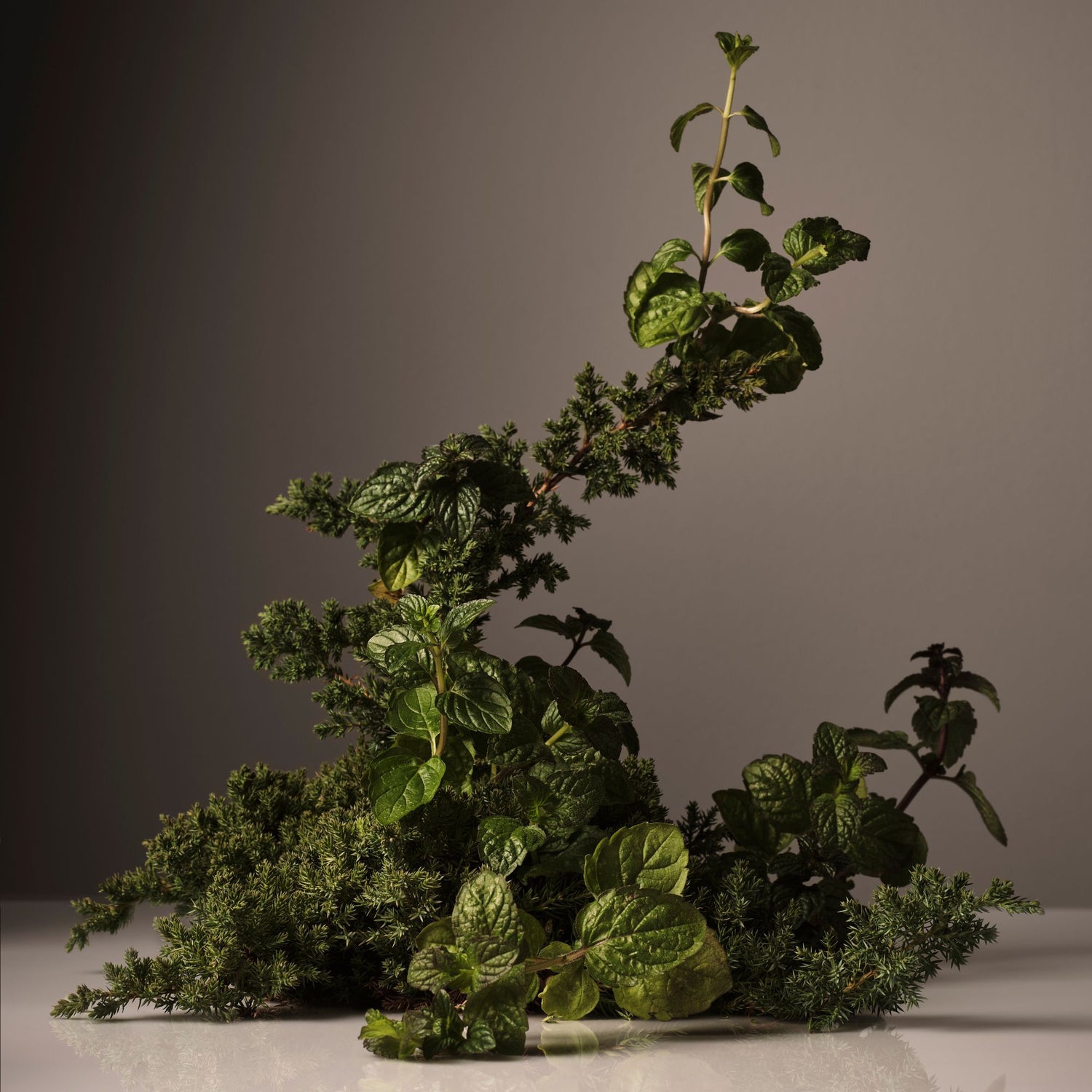 Lifestyle image of Homecourt Cipres Mint Candle