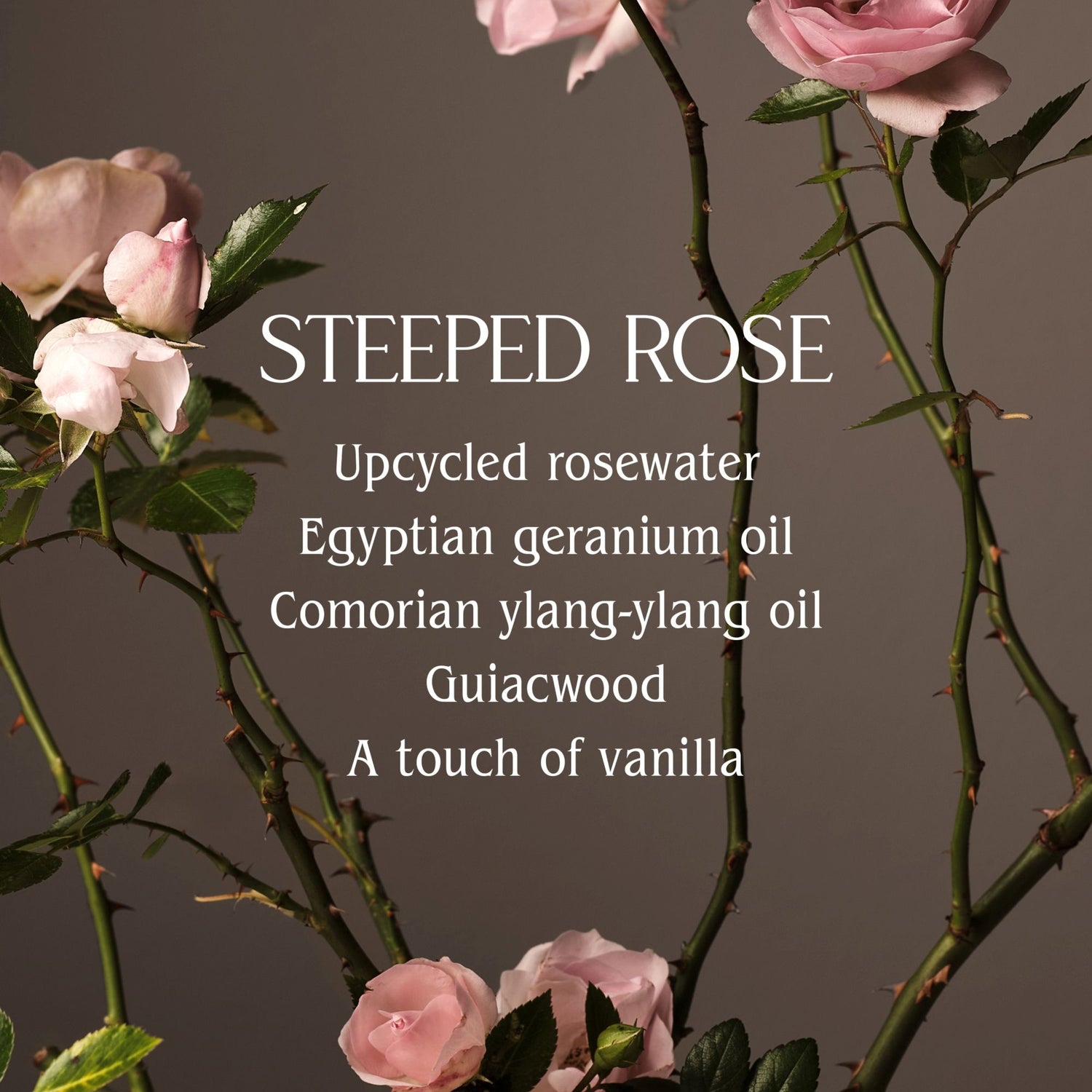 Lifestyle image of Homecourt Steeped Rose Hand Wash