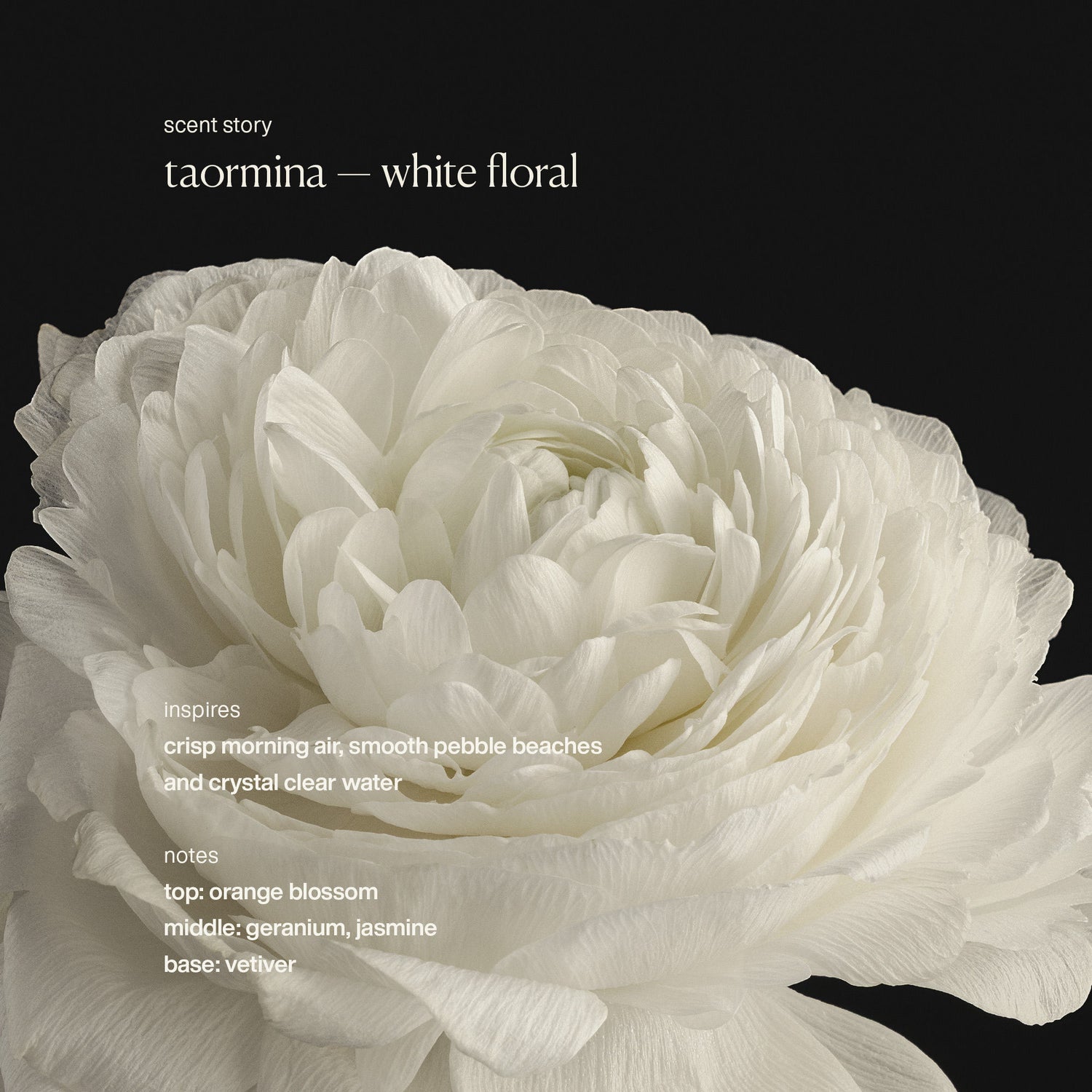 Image of an open Evolvetogether Taormina Hydrating Hand Cream