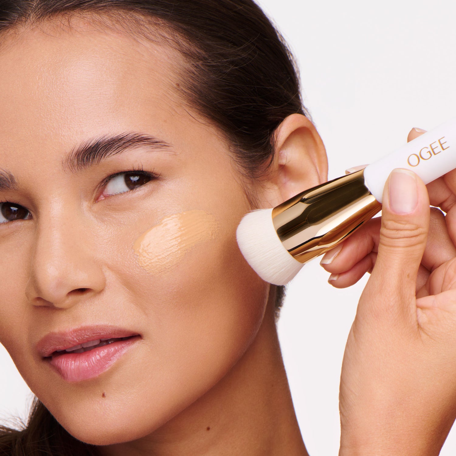 Model image of Ogee The Base Brush