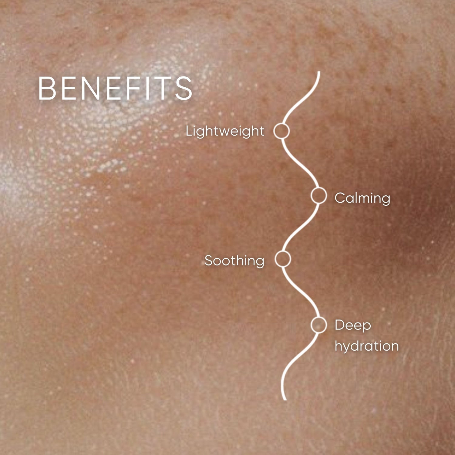 Information related to Plantkos Replenishing Essence