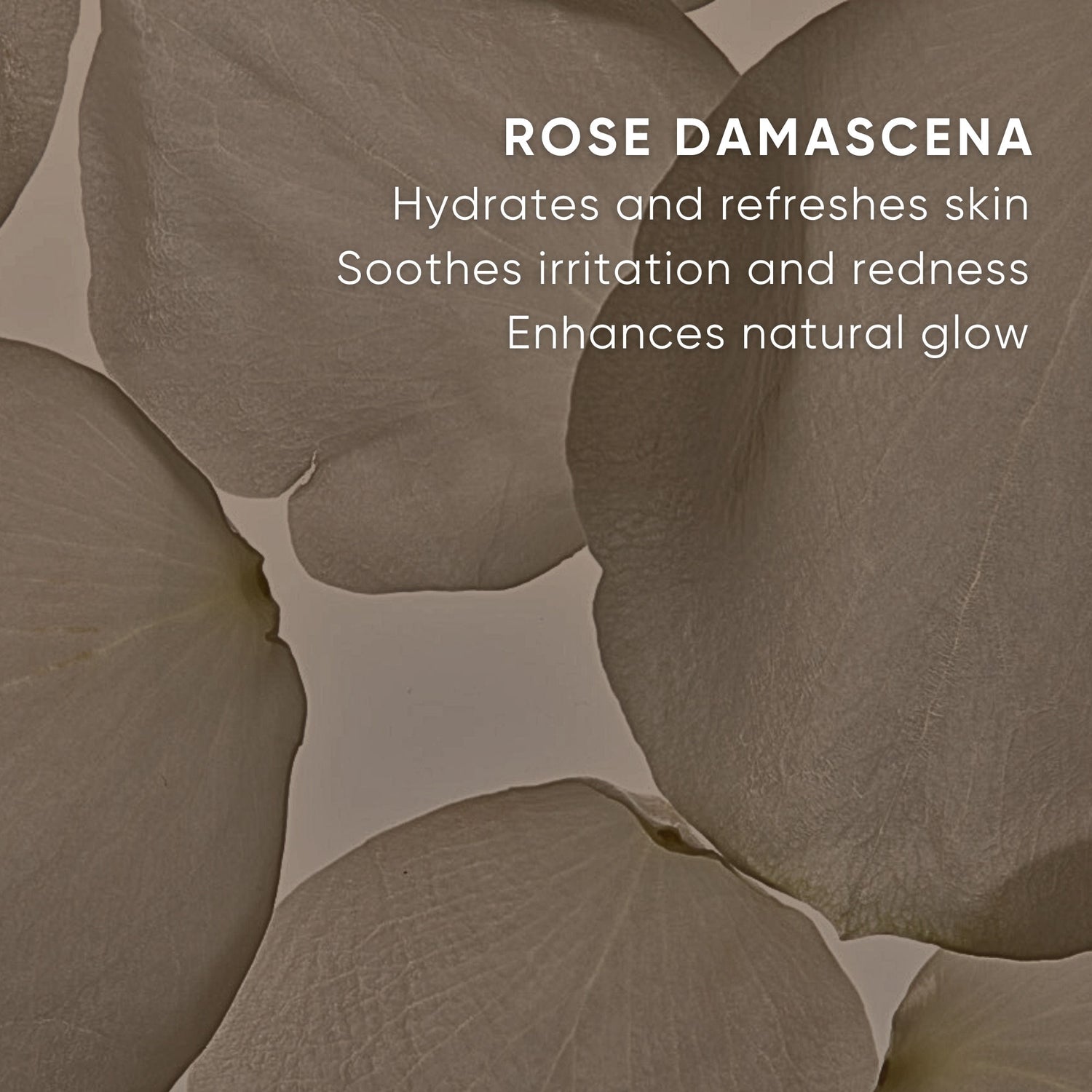 Information related to Plantkos Replenishing Essence