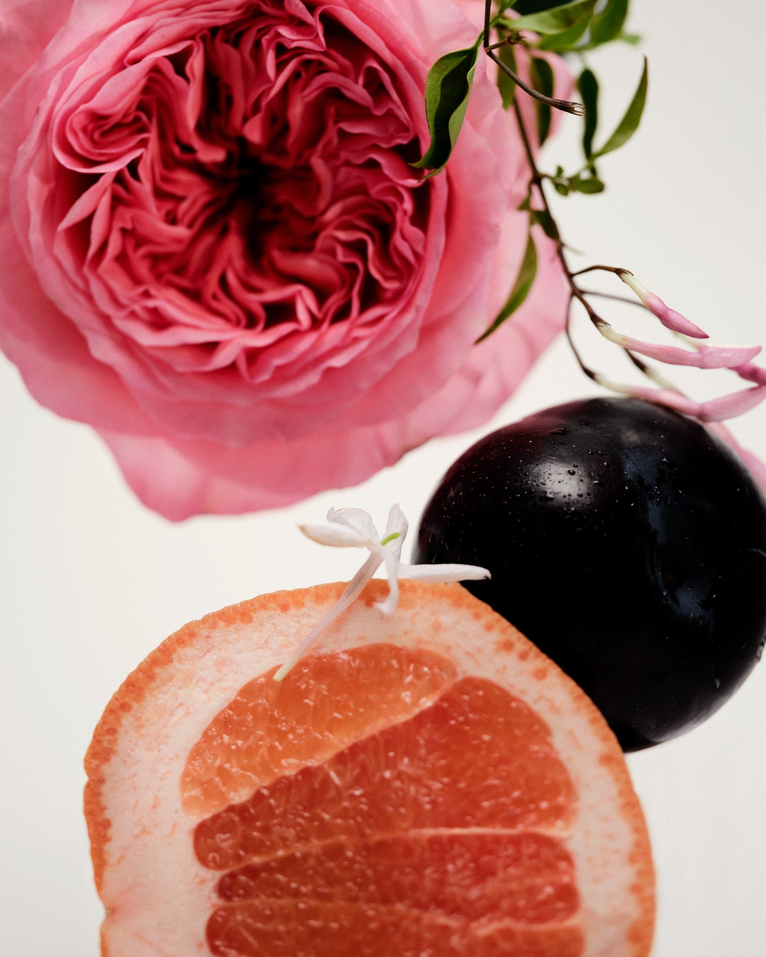 Lifestyle image of Maison Louis Marie No.14 Icila Diffuser