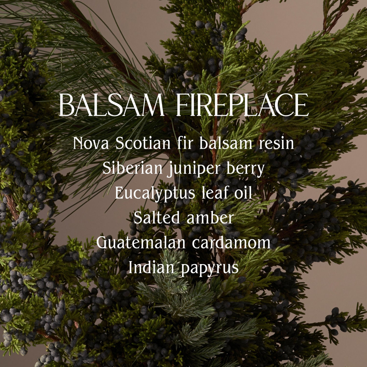 Swatch image of Homecourt Balsam Fireplace Candle (Limited Edition)