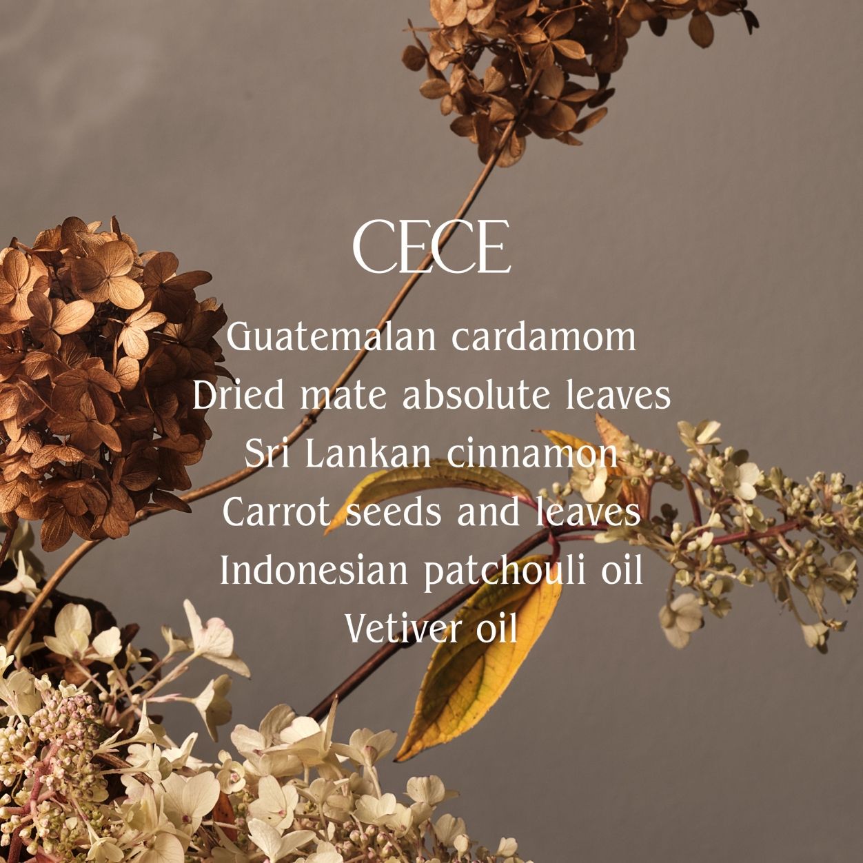 Image of product in the same collection as Homecourt Cece Candle