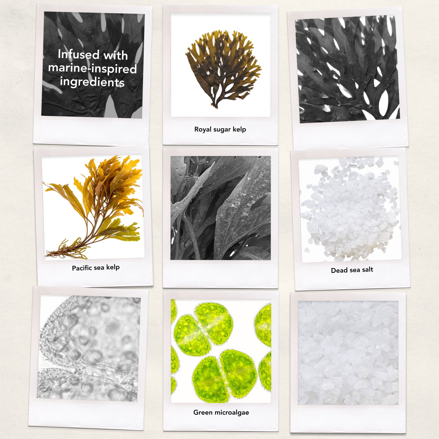 Information related to Bumble and Bumble Seaweed Whipped Scalp Scrub