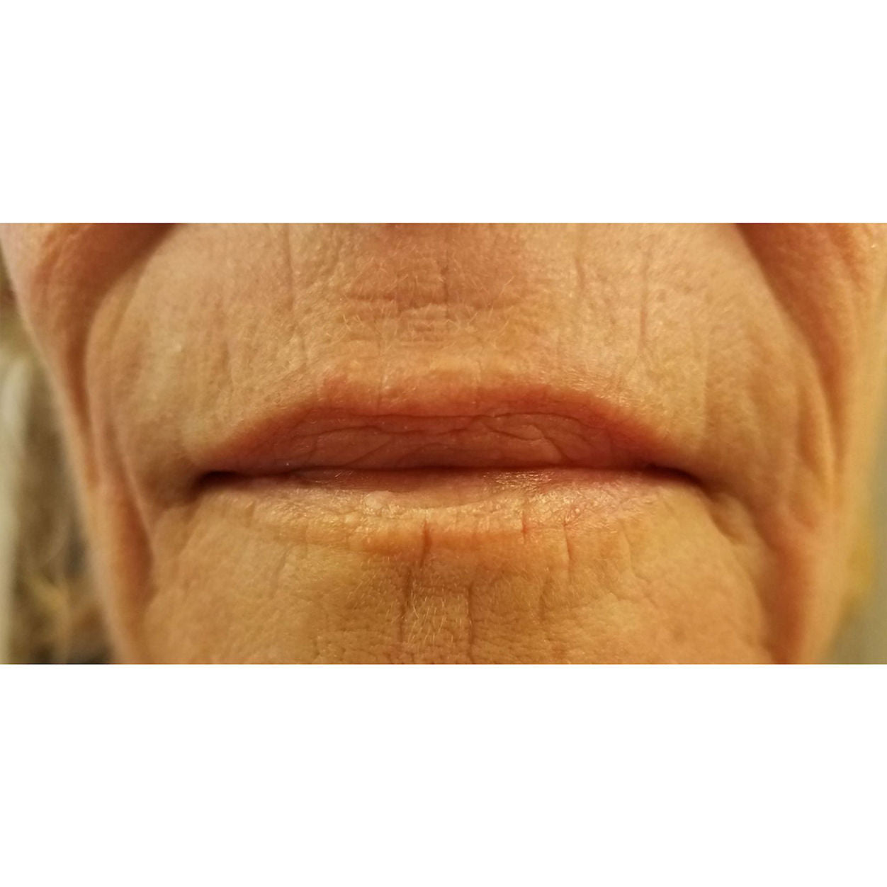 Model image of SIO Super Liplift 2-Pack