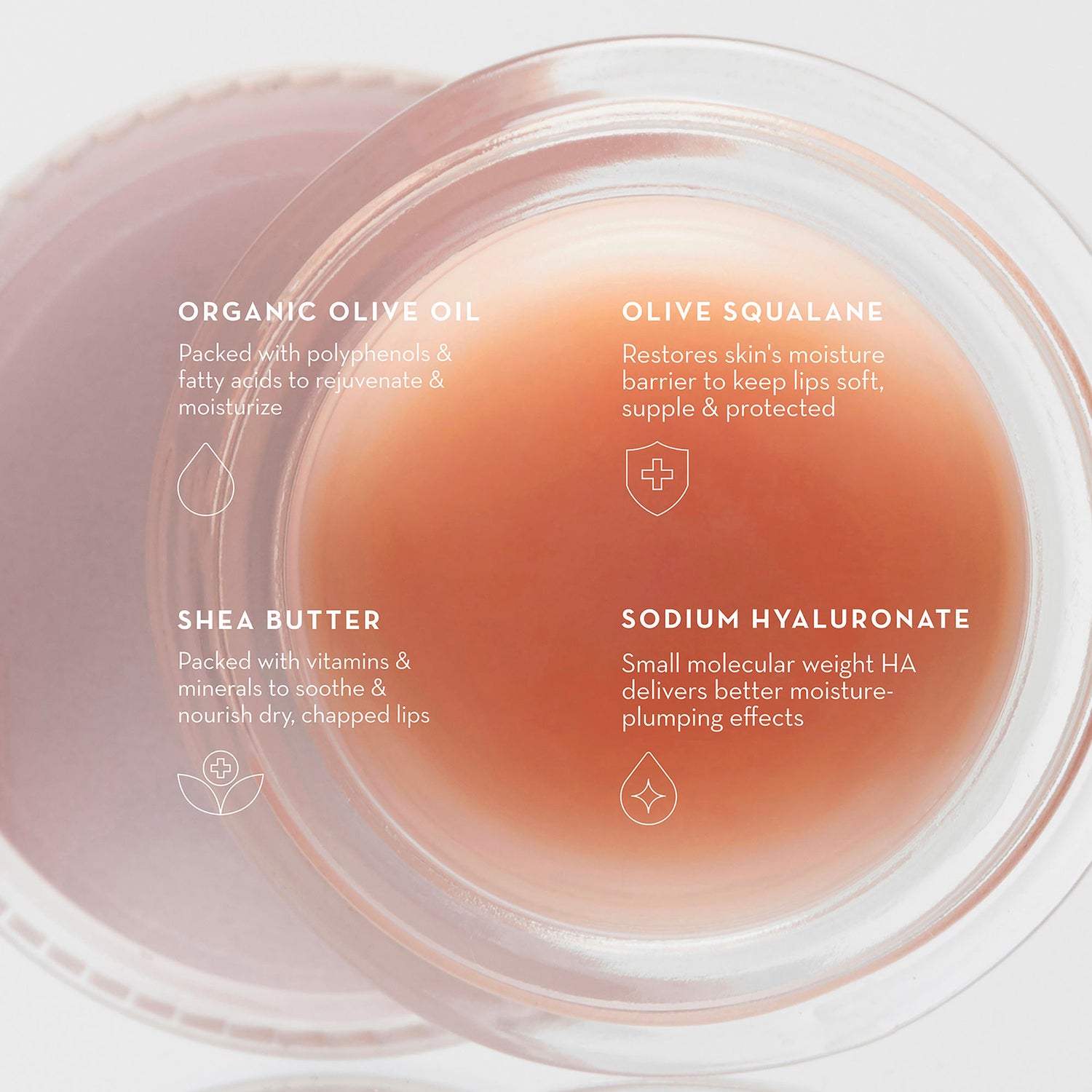 Information related to Furtuna Skin Olive Lip Butter Balm