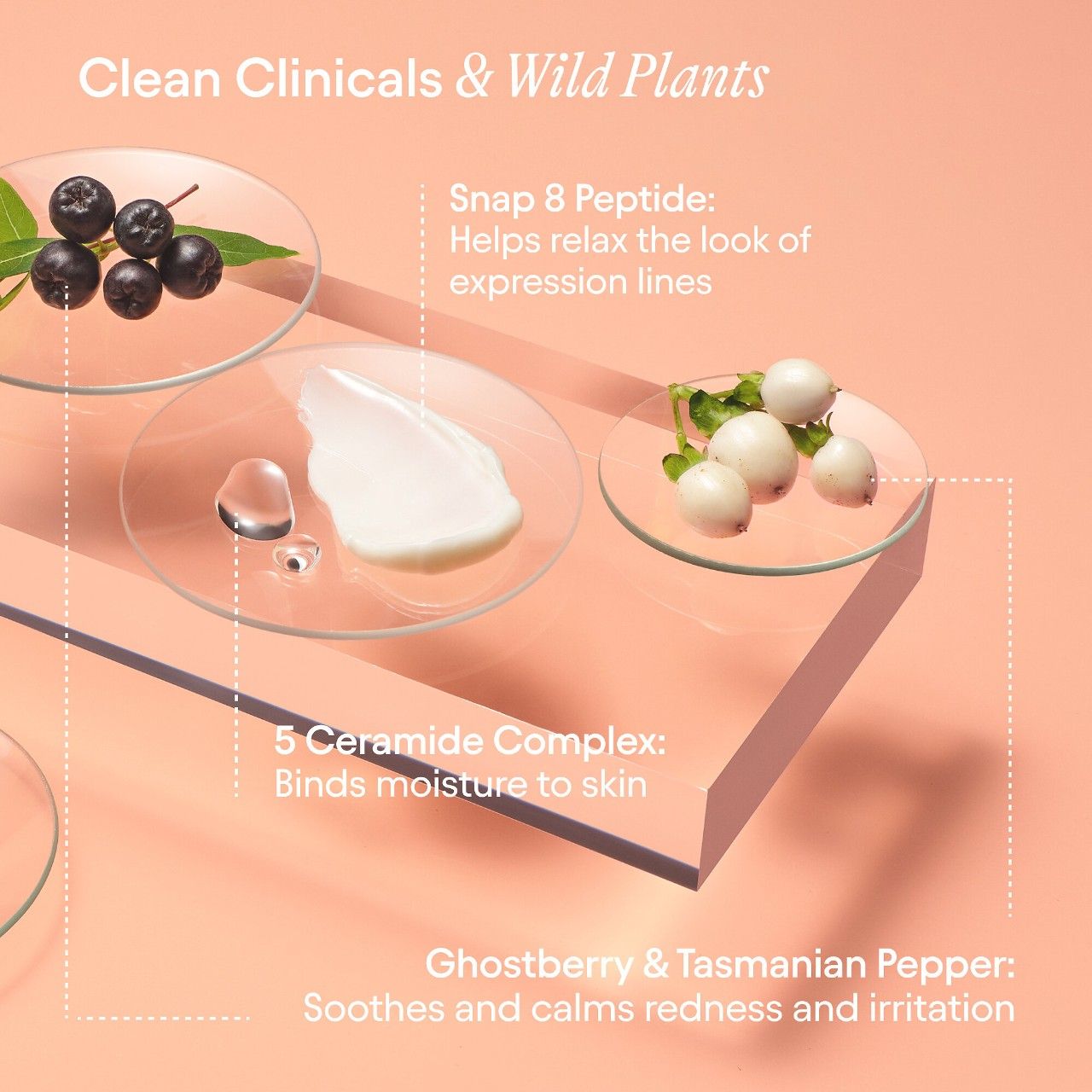 Information related to Alpyn Beauty Super Peptide and Ghostberry Barrier Repair Cream