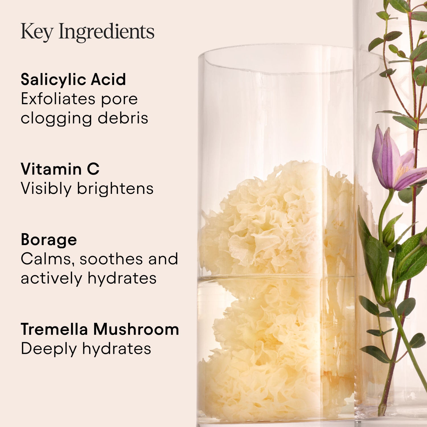 Lifestyle image of 2% BHA Pore Perfecting Liquid Exfoliator for Brighter and Clearer Skin