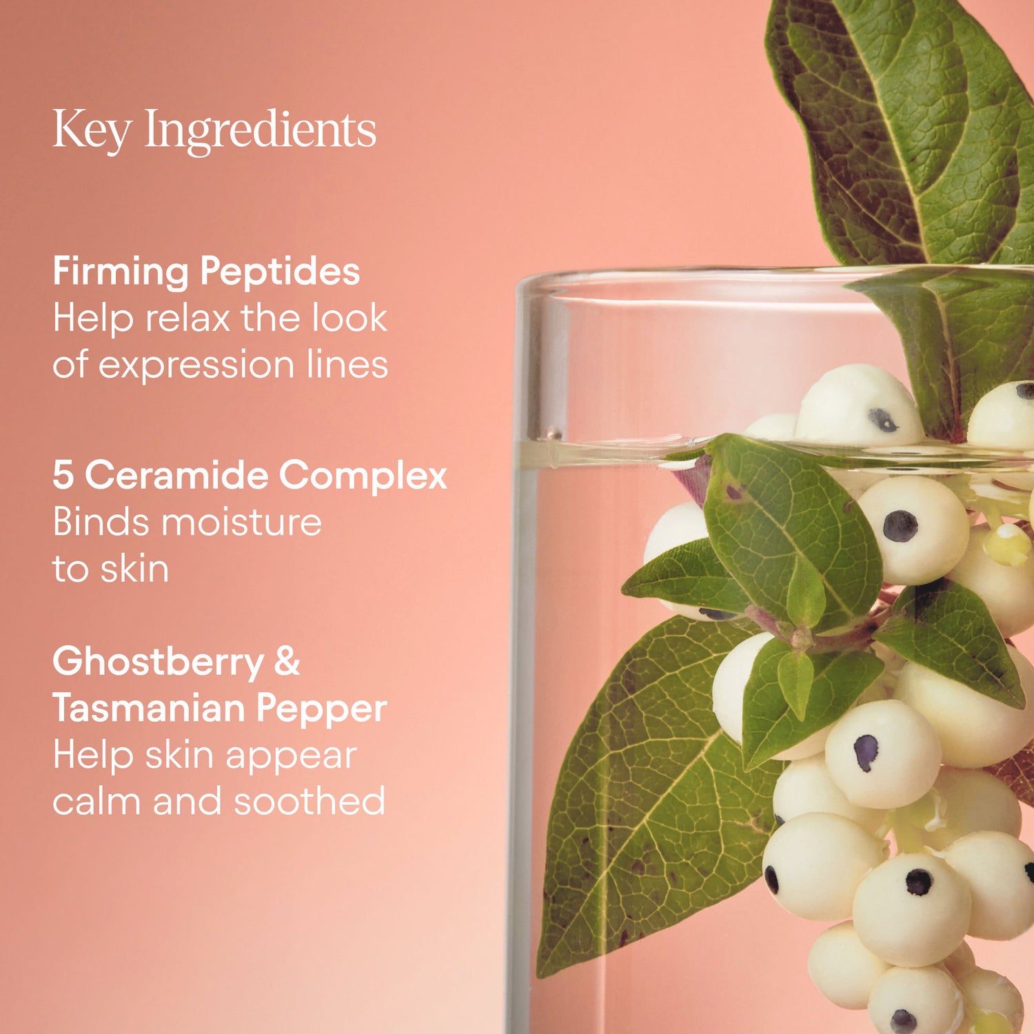 Lifestyle image of Alpyn Beauty Barrier Repair Cream Moisturizer for Eczema, Wrinkle and Barrier Repair