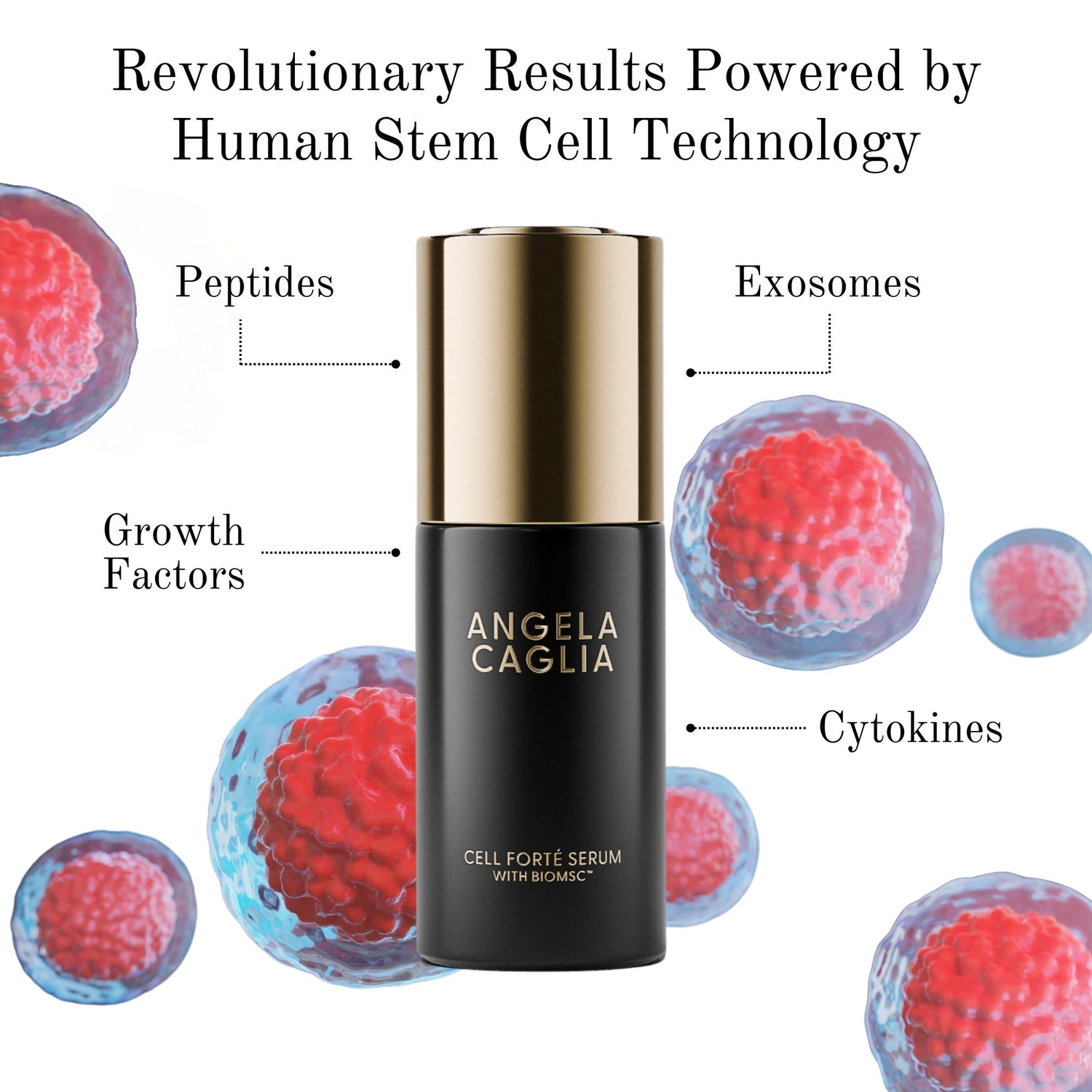 Swatch image of Angela Caglia Skincare Cell Forté Serum with BIOMSC™