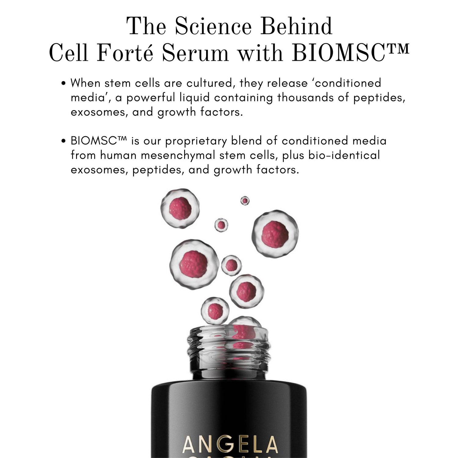 Information related to Angela Caglia Skincare Cell Forté Serum with BIOMSC™