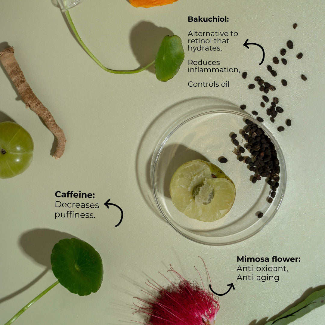 Information related to Plantkos Phyto Vitality Eye Cream